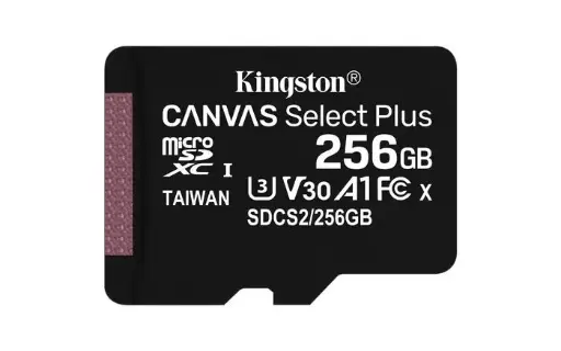 Kingston MicroSD Card 256Gb